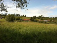 Beautiful old farmhouse with views across Somerset levels