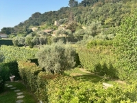 Relax in St Paul De Vence