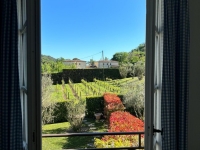 Master bedroom view